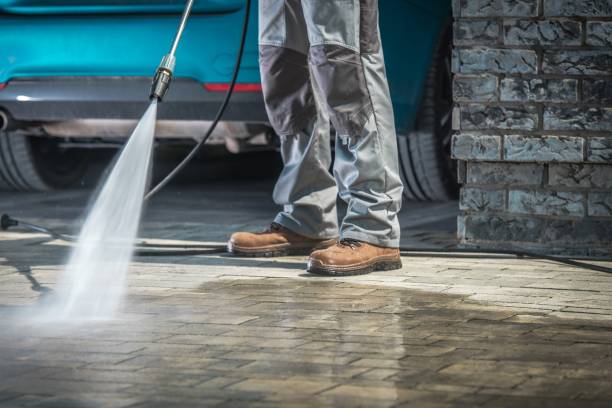 Best Roof Cleaning and Mildew Removal in East Point, GA